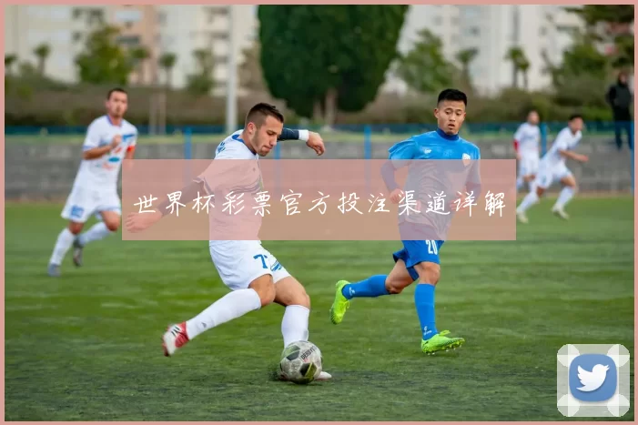 世界杯彩票官方投注渠道详解