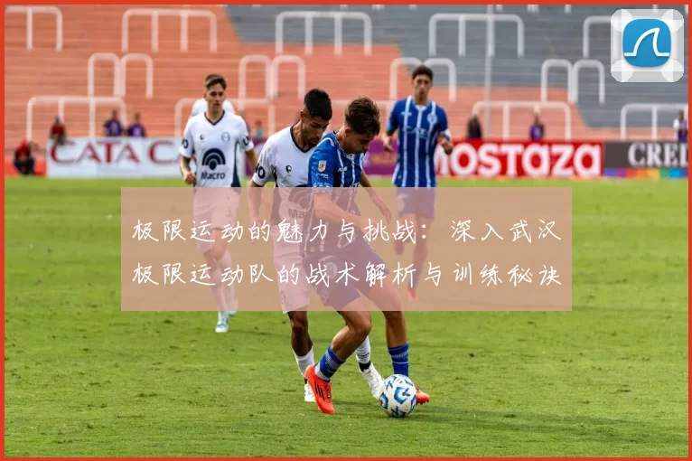 极限运动的魅力与挑战：深入武汉极限运动队的战术解析与训练秘诀