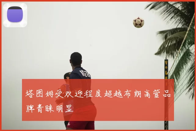塔图姆受欢迎程度超越布朗高管品牌青睐明显