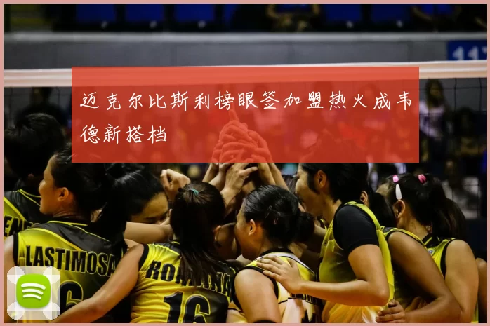 迈克尔比斯利榜眼签加盟热火成韦德新搭档