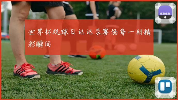世界杯观球日记记录赛场每一刻精彩瞬间