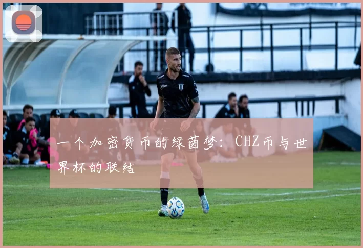 一个加密货币的绿茵梦:CHZ币与世界杯的联结