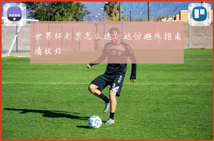 世界杯彩票怎么选?这份避坑指南请收好