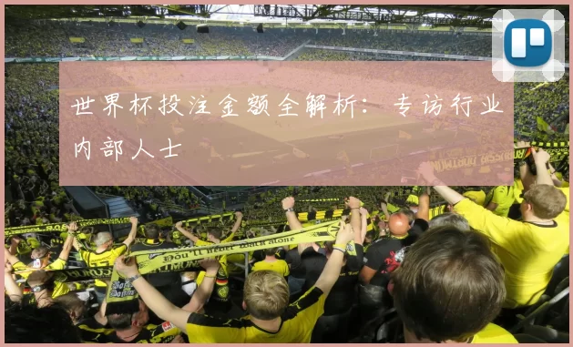 世界杯投注金额全解析:专访行业内部人士