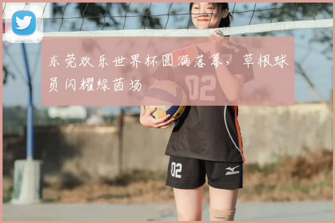 东莞欢乐世界杯圆满落幕，草根球员闪耀绿茵场