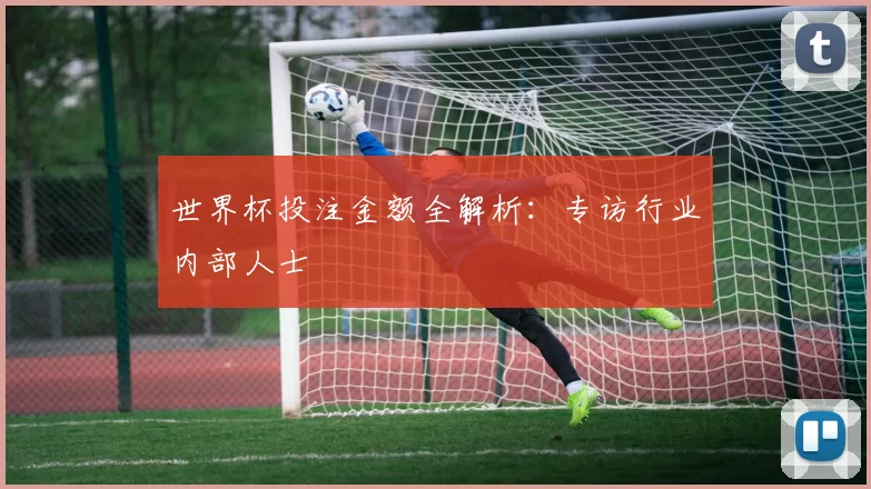 世界杯投注金额全解析:专访行业内部人士