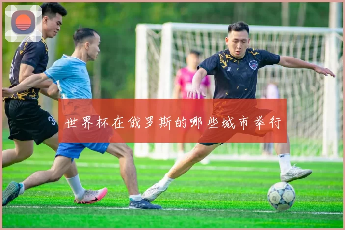 世界杯在俄罗斯的哪些城市举行