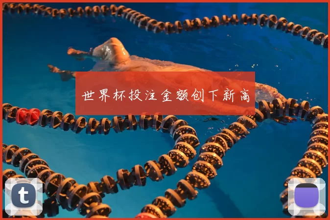 世界杯投注金额创下新高