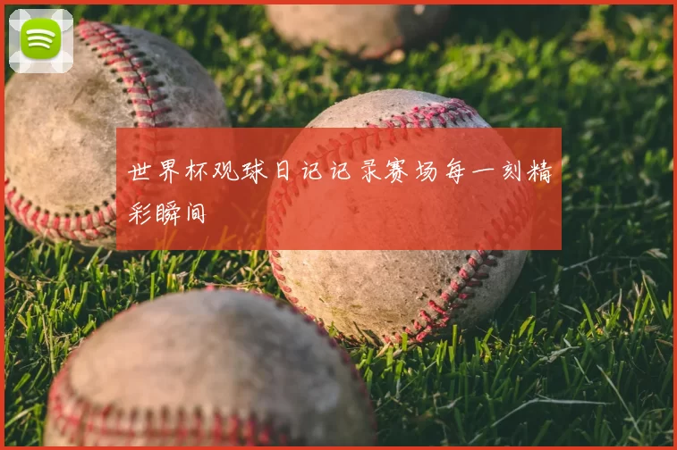 世界杯观球日记记录赛场每一刻精彩瞬间